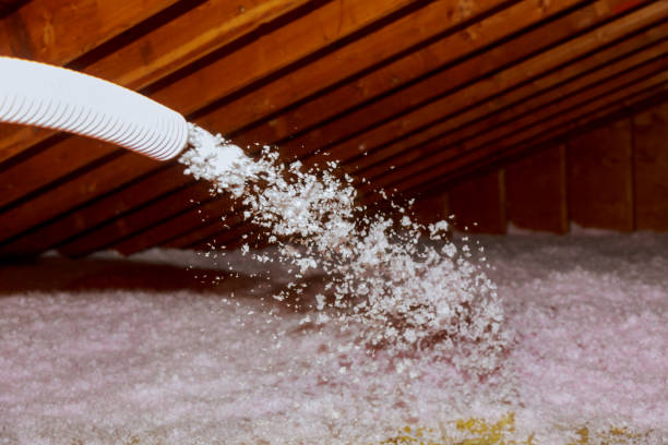 Best Spray Foam Insulation in San Benito, TX