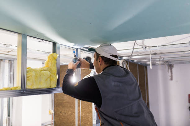 Best Geographic-Specific Insulation Services in San Benito, TX