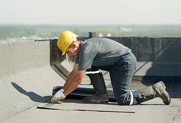 Best Eco-Friendly Insulation in San Benito, TX