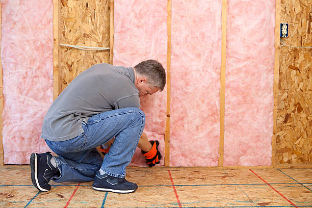 Best Energy Efficiency Insulation in San Benito, TX